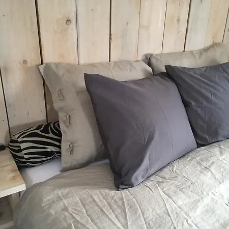 Homestay De Greenhouse Amsterdam