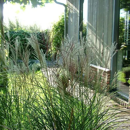 De Greenhouse Homestay *