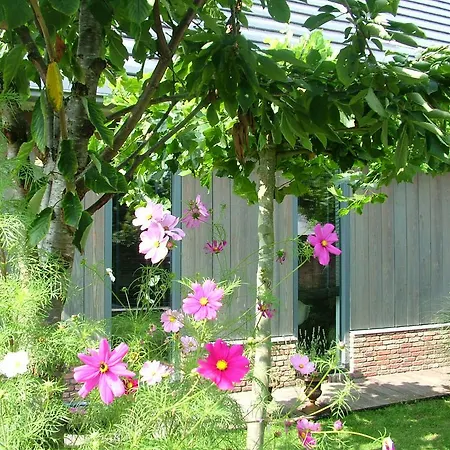 De Greenhouse Homestay *