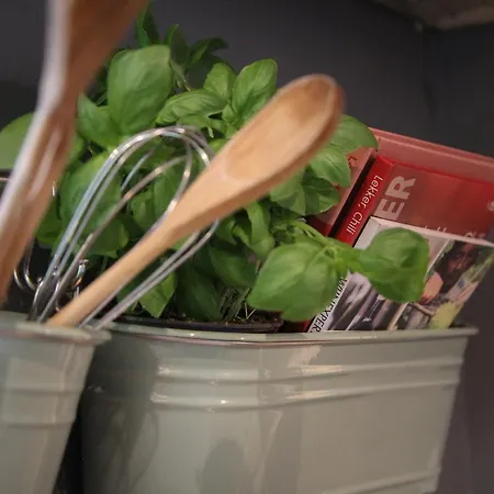 De Greenhouse Homestay Amsterdam
