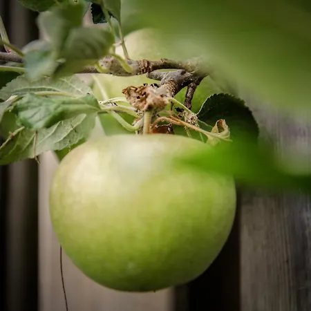 Ubytování v soukromí De Greenhouse