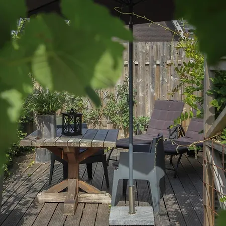 De Greenhouse Homestay Amsterdam
