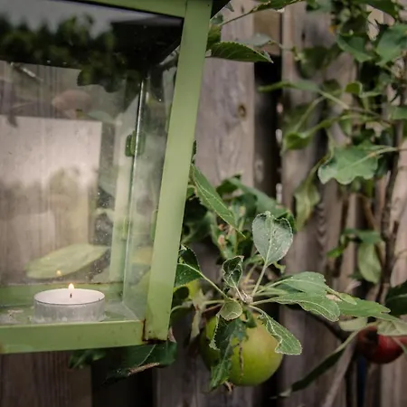 De Greenhouse Privatunterkunft